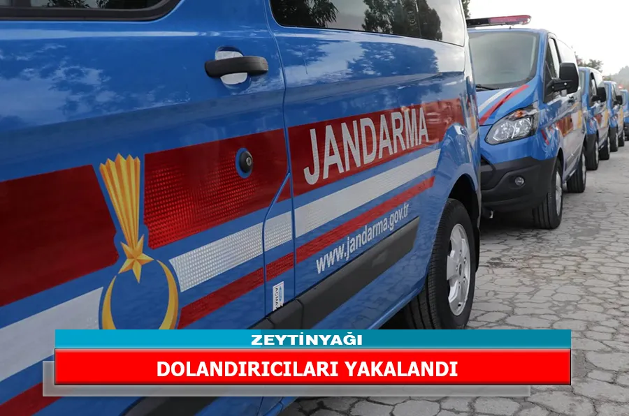 ZEYTİNYAĞI DOLANDIRICILARI YAKALANDI