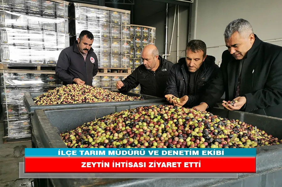 İLÇE TARIM MÜDÜRÜ VE DENETİM EKİBİ ZEYTİN İHTİSASI ZİYARET ETTİ