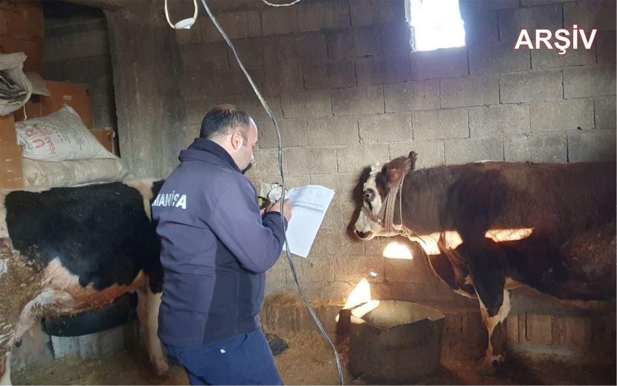 Şap hastalığı uyarısı; kesim, ithalat ve ihracatın durdurulmasına karar verildi