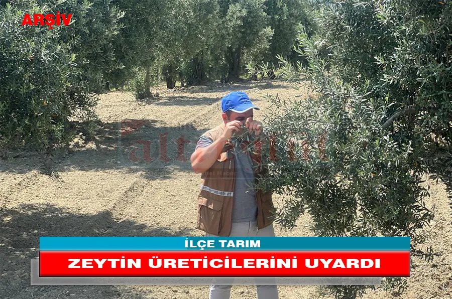 İLÇE TARIM ZEYTİN ÜRETİCİLERİNİ UYARDI