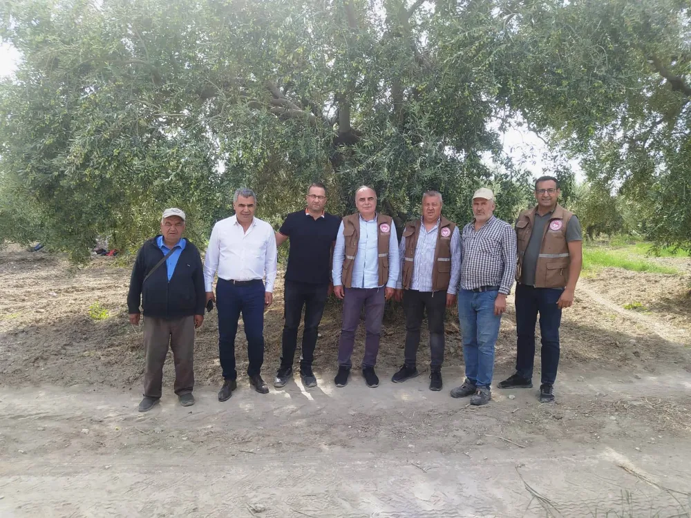 İLÇE TARIMDAN ZEYTİNLİOVA MAHALLESİ