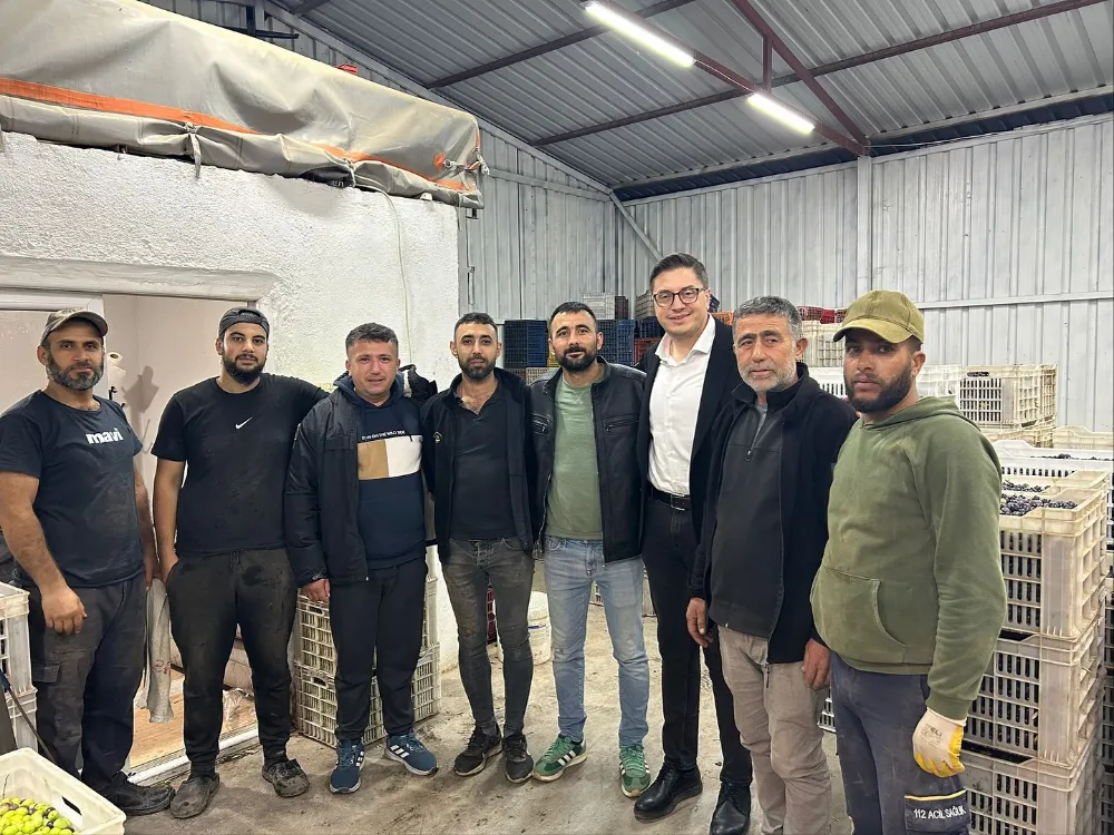 AK PARTİ AKHİSAR’DAN ZEYTİN HASADI DÖNEMİNDE ÇİFTÇİLERE ZİYARET