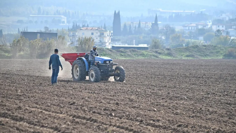 AKHİSAR BELEDİYESİ, BUĞDAY VE ARPA ÜRETİMİNE BAŞLADI