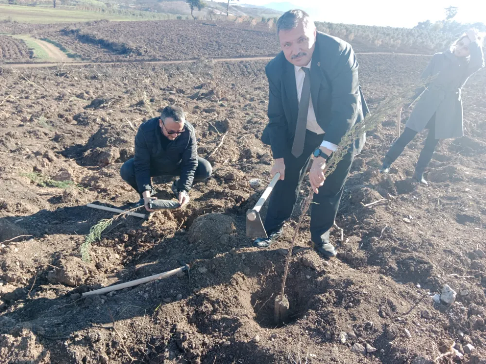 24 KASIM ÖĞRETMENLER GÜNÜ’NE ÖZEL “YEŞİL VATAN” İÇİN FİDAN DİKİMİ