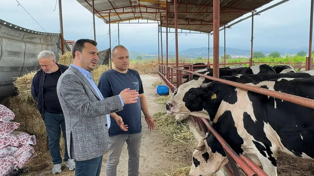 BESİCİ CHP’Lİ BAŞEVİRGEN’E DERT YANDI