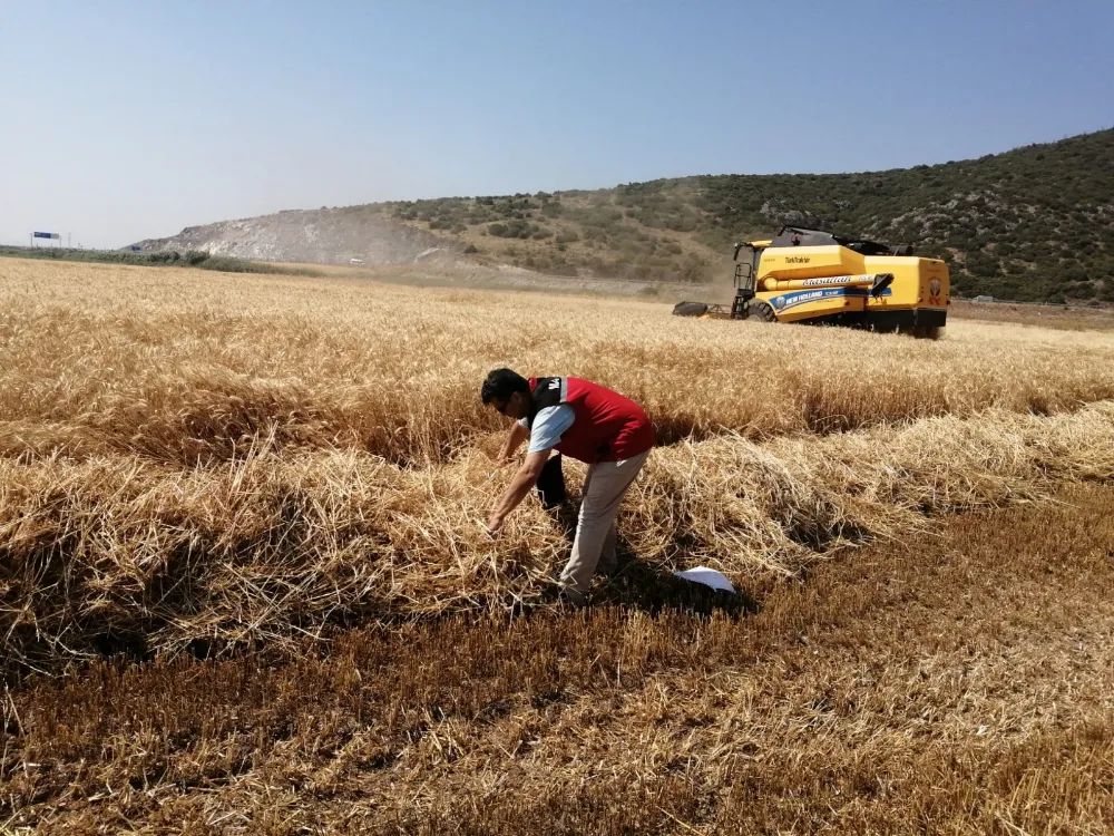 BİÇERDÖVERLE HASAT KONUSUNDA İLÇE TARIM’DAN ÖNEMLİ UYARI