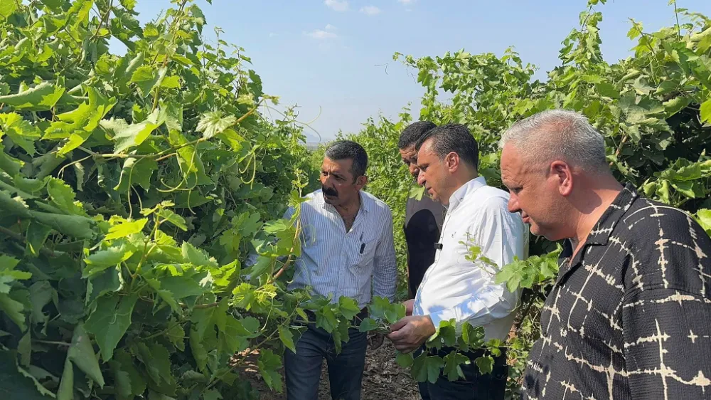 CHP’Lİ BAŞEVİRGEN MANİSALI ÜZÜM ÜRETİCİSİNİ DİNLEDİ 