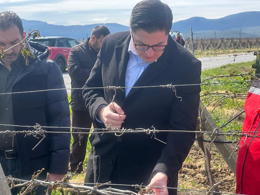ZİRAİ DON ZARARI GÖREN ÇİFTÇİLERE DESTEKLEME ÖDEMESİ YAPILACAK